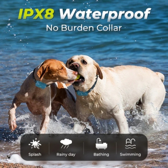 Jugbow DT-682 Remote Training Collar for Two Dogs – 4200FT Range - Picture 4 of 12